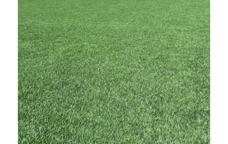 ECOLE DE FOOTBALL 2014/2015